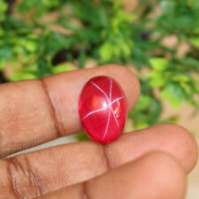 Natural 6 Rays Red Star Ruby 19 Ct. Loose Gemstone For Jewelry Making Str-607