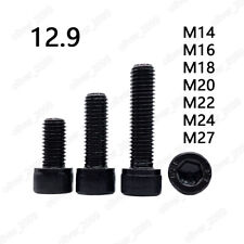 Black 12.9 Steel Din912 Hex Socket Bolts Cap Head Screws M14 M16 M18 M20 M22-m27