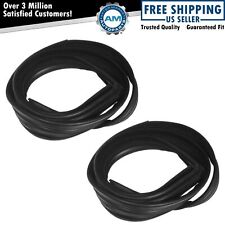 Window Glass Run Channel Weatherstrip Seal Set Pair For Ford Mustang Capri