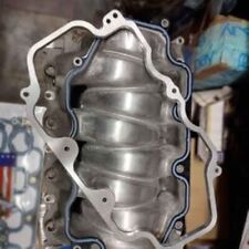 Mustang Mach 1 And Cobra Intake 4v Ported Short Runner And Extras