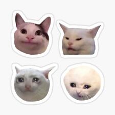 Cat Meme Stickers Cute