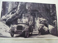 1920 S Pierce Arrow At Wawona Tree Ca.  Big 11 X 17 Photo  Picture