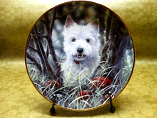 West Highland Terrier Dog Collector Plate - Danbury Mint Hide And Seek Doyle