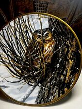 Hamilton Collection Noble Owls Of America Hiding Place Made In England