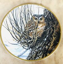 Hiding Place Collectors Plate Noble Owls Of America Spode Seerey-lester