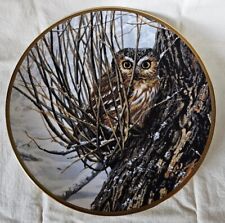 Saw Whet Owl-hiding Place Collectors Plate - Spode - Limited Edition 1988