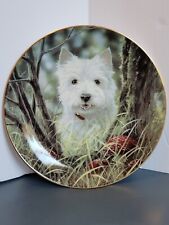 West Highland Terriers Hide And Seek Collector Plate From The Danbury Mint