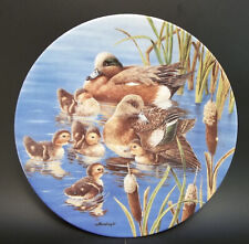 Natures Nursery Porcelain Collector Plate Joe Thornbrugh Ducks Blue Hide N Seek