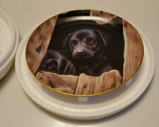 Playful Puppies The Hide Out Decorative Plate 8 Inch John Silver New