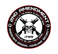 2nd Amendment Gun Vinyl Decal Sticker Truck 3 Car Hunting Right To Bear Arm