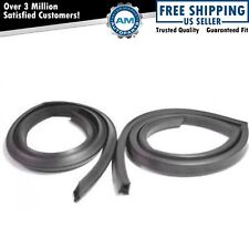 Roofrail Roof Rail Weatherstrip Seals Pair Set Of 2 For 71-74 Amc Javelin